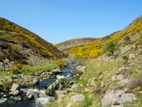 Harthope Valley